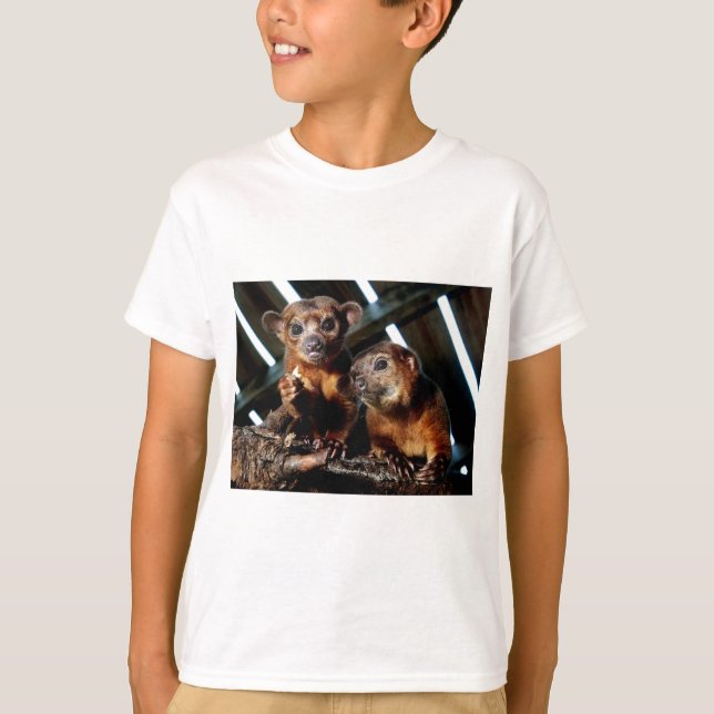 Camiseta Kinkajous (Anverso)