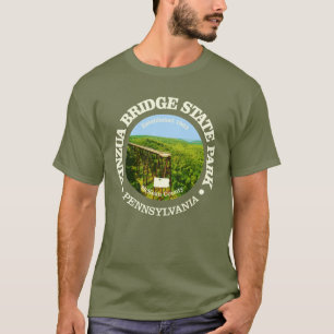 Camiseta Kinzua Bridge SP