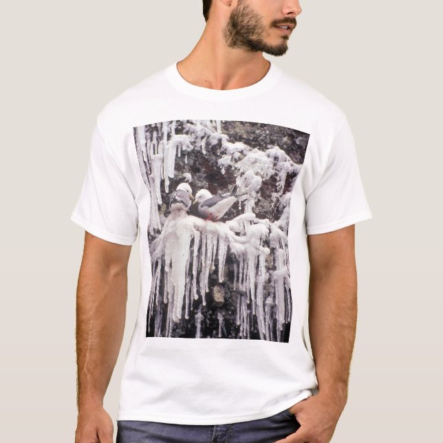 Camiseta Kittiwake TRed-legged premiado (Anverso)