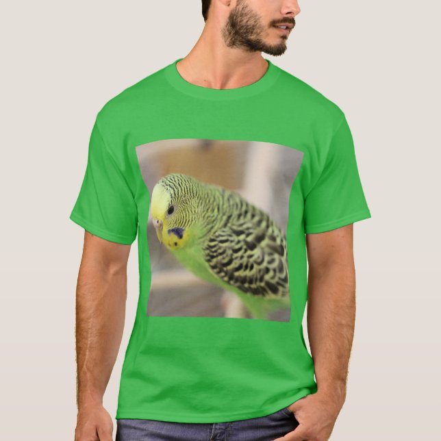 Camiseta Kiwi (Anverso)