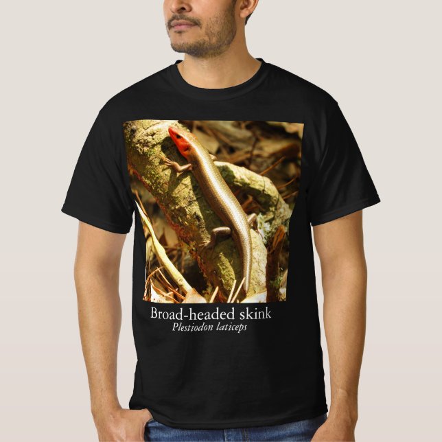 Camiseta Knature Knowledge Broad-Headed Skink (Anverso)
