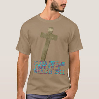 Camiseta Know The Plans I Have For You, God Funny Graphic