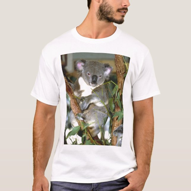 Camiseta koala2 (Anverso)