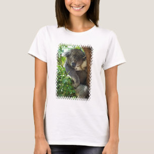 Camiseta koala-34.jpg