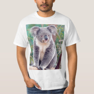 Camiseta Koala australiana