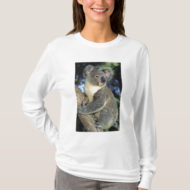 Camiseta Koala, Phascolarctos cinereus), Australia, (Anverso)