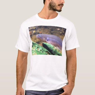 Camiseta Kokopu congregado