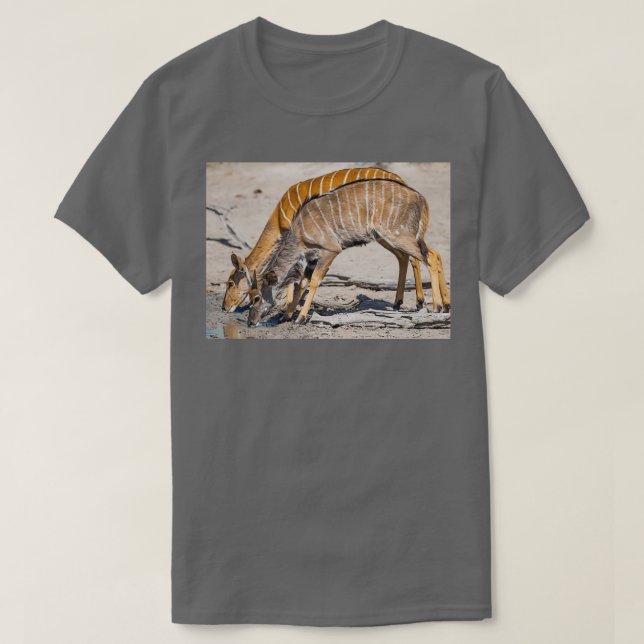 Camiseta Kudu drinking Long (Diseño del anverso)