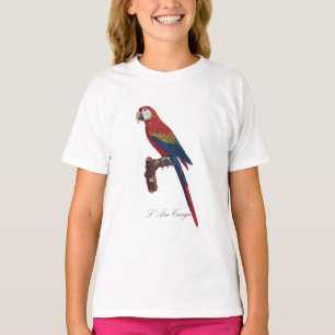 Camiseta L' Ara Macao / Scarlet Macaw