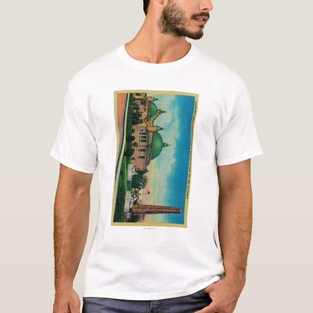 Camiseta La aguja y el planetario de Cleopatra adentro (Anverso)