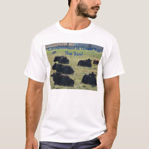Camiseta La alegría es buena para el alma