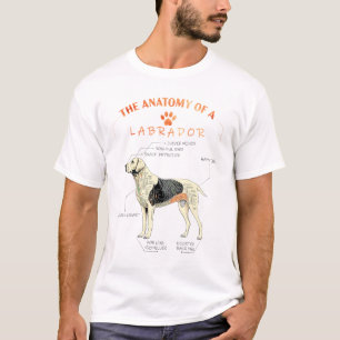 Camiseta La anatomía de un perro Labrador - mejor regalo ma
