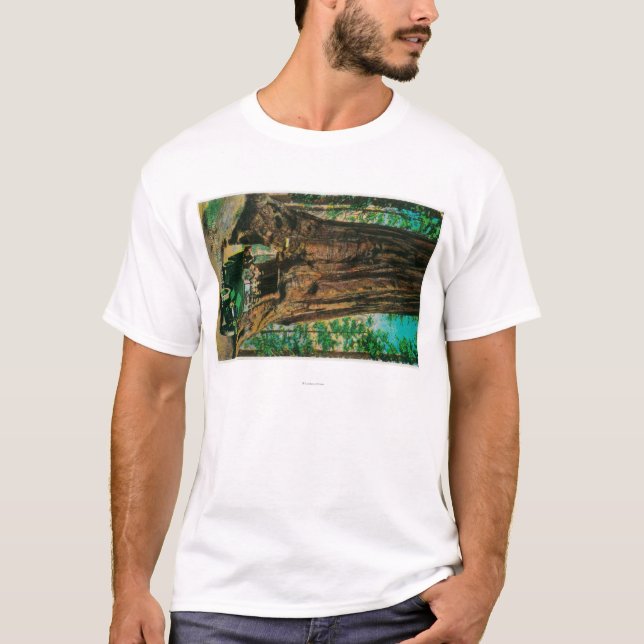 Camiseta La arboleda grande del árbol de Mariposa, Yosemite (Anverso)