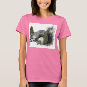 Camiseta La ardilla de Albert