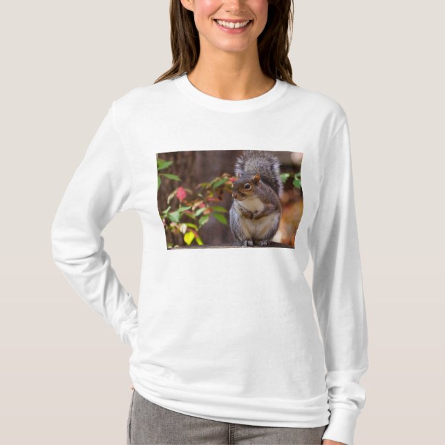Camiseta La ardilla, paciente, pide una manga larga (Anverso)