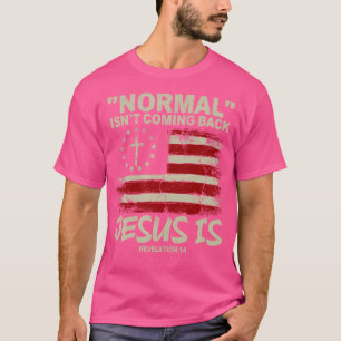 Camiseta La Bandera Norteamericana Cristiana Normal No Vuel