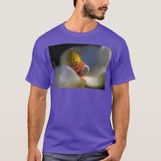 Camiseta La belleza interior