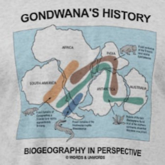Camiseta La biogeografía de la historia de Gondwana en pers