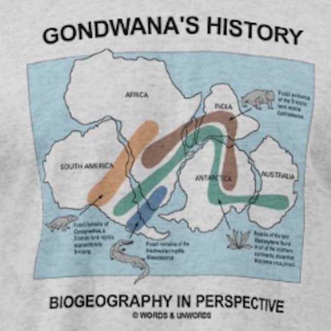 Camiseta La biogeografía de la historia de Gondwana en pers (Biogeographers and historians will enjoy this "Gondwana's History Biogeography In Perspective" tee)