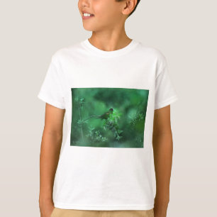 Camiseta La canción