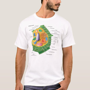 Camiseta La célula de la planta CONSIGUE EDUCADA