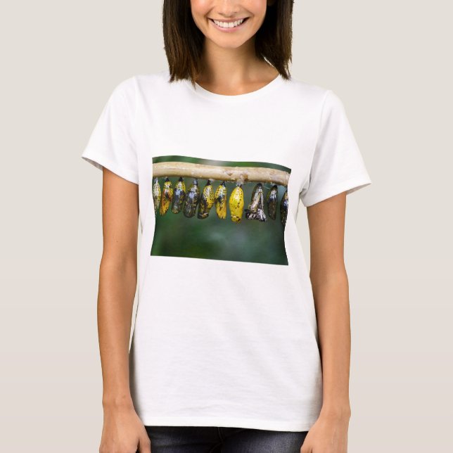 Camiseta La colorida vida del cocoon (Anverso)