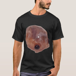Camiseta la creatura