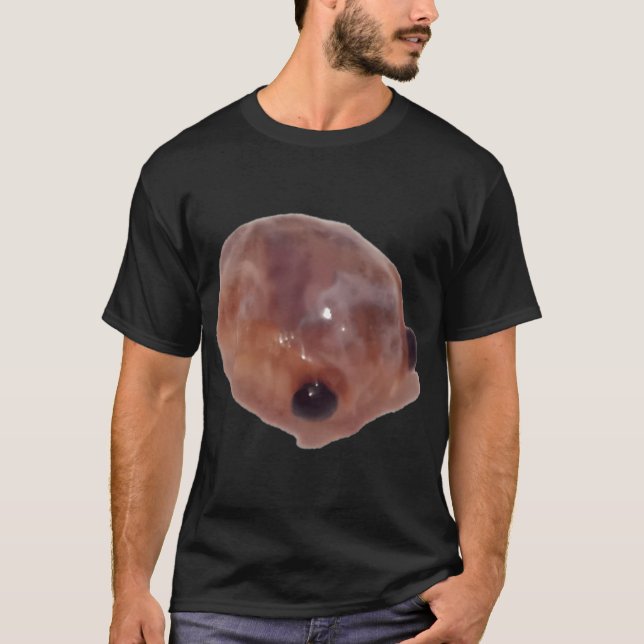 Camiseta la creatura (Anverso)
