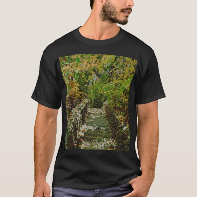 Camiseta La escalera verde (Anverso)