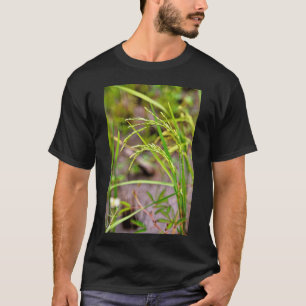 Camiseta La espiga de arroz en desarrollo, un símbolo de fe