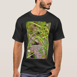 Camiseta La espiga de arroz en desarrollo, un símbolo de fe