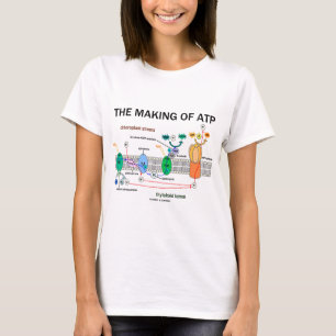 Camiseta La fabricación de ATP (fotosíntesis dependiente