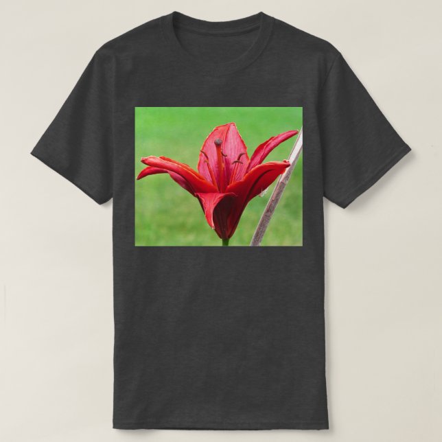 Camiseta La flor roja (Diseño del anverso)