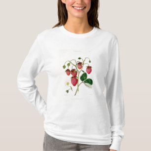 Camiseta La fresa de Roseberry, grabada por Watte