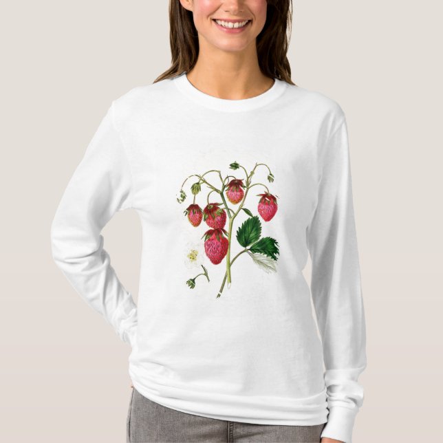 Camiseta La fresa de Roseberry, grabada por Watte (Anverso)