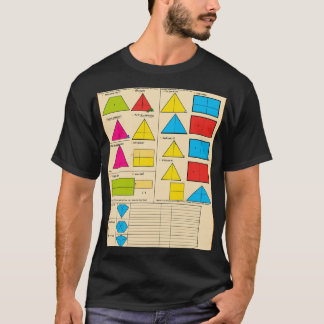 Camiseta "La frontera de la fórmula"