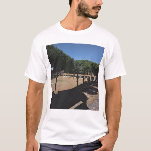 Camiseta La gran palestra
