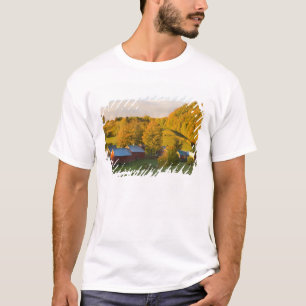 Camiseta La granja Jenne en Woodstock, Vermont. Otoño. 2