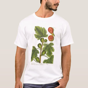 Camiseta La higuera, platea 125 "de un herbario curioso", p