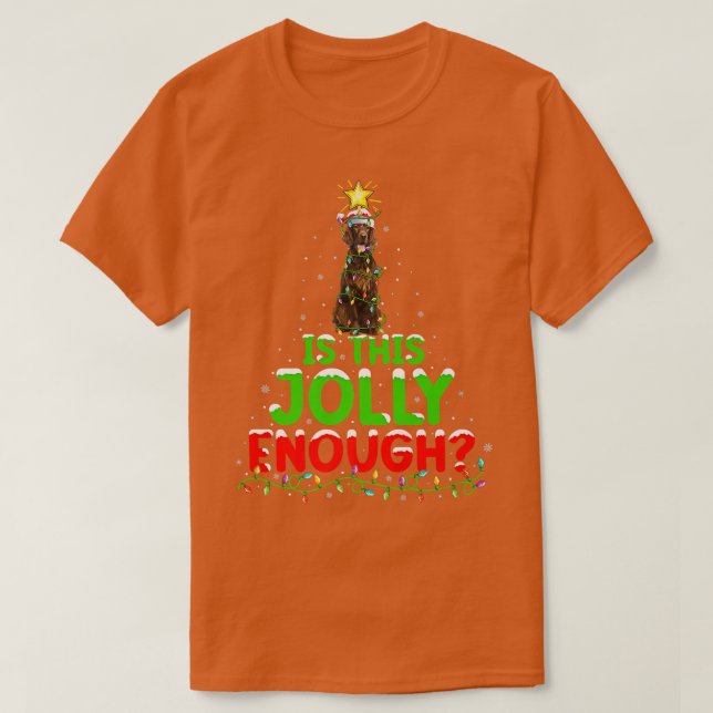 Camiseta La Iluminación Es Lo Suficientemente Jolly Irlandé (Diseño del anverso)
