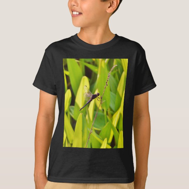 Camiseta La libélula azul y la negra sobre la hierba. (Anverso)