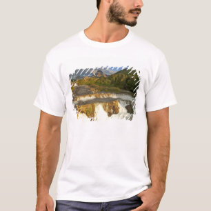 Camiseta La luz de la mañana saluda a Swiftcurrent Falls en
