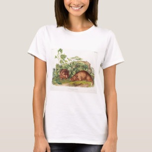 Camiseta La marmota de Lewi