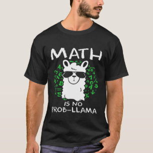 Camiseta La matemática no es un problema para profesores y 