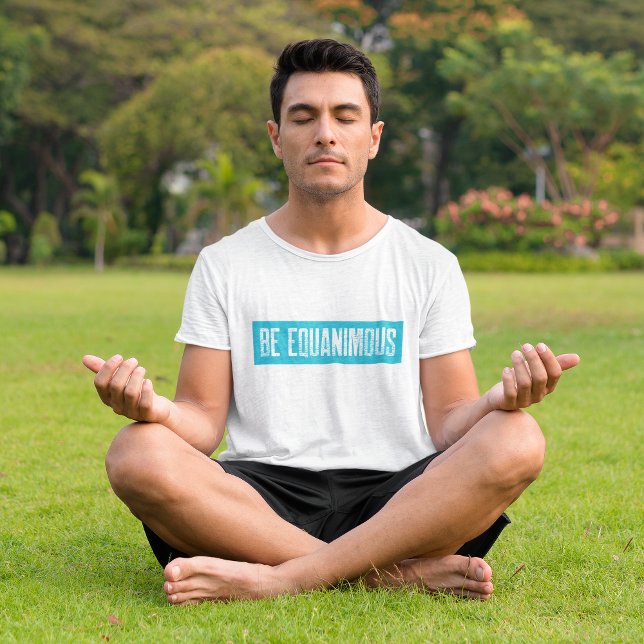 Camiseta La meditación de Vipassana será igual a la ecuanim (Subido por el creador)