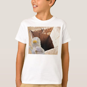 Camiseta La Momia. Escape de Egipto