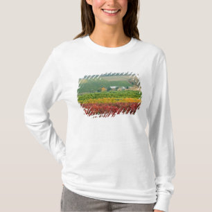 Camiseta La niebla se apodera de la Bodega de los Hermanos 