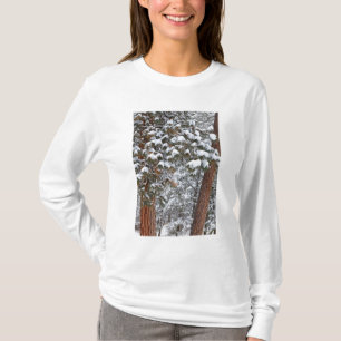 Camiseta La nieve llena las ramas de los pinos ponderosa