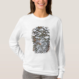 Camiseta La nieve llena las ramas de los pinos ponderosa