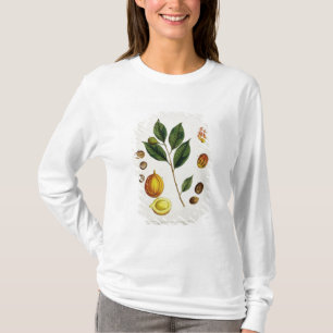Camiseta La nuez moscada moscada, platea 353 "de un
